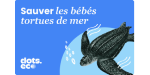 Sauver les tortues de mer